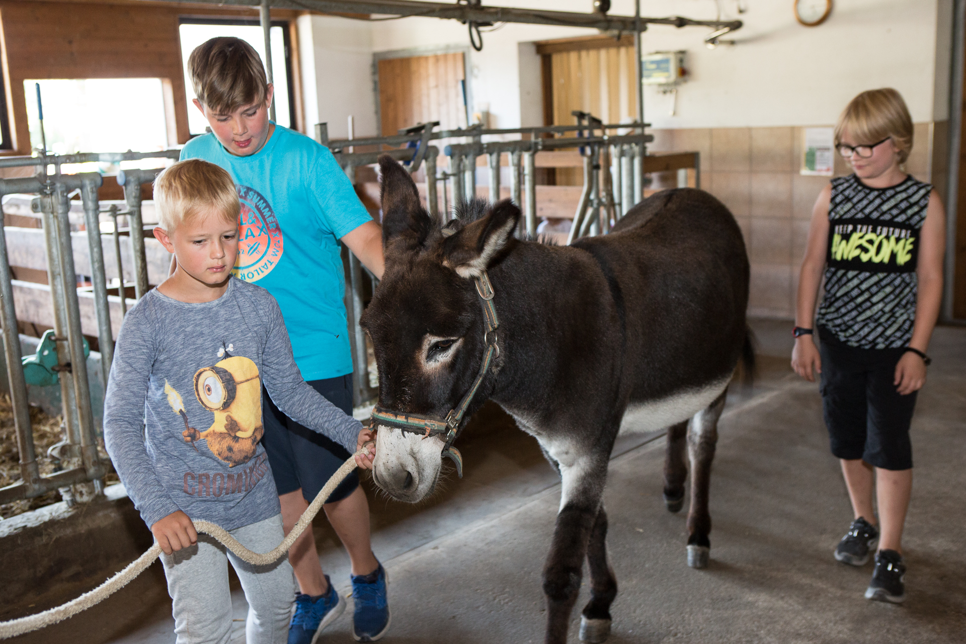 Biobauernhof Reiterhof Onze dieren warme dieren