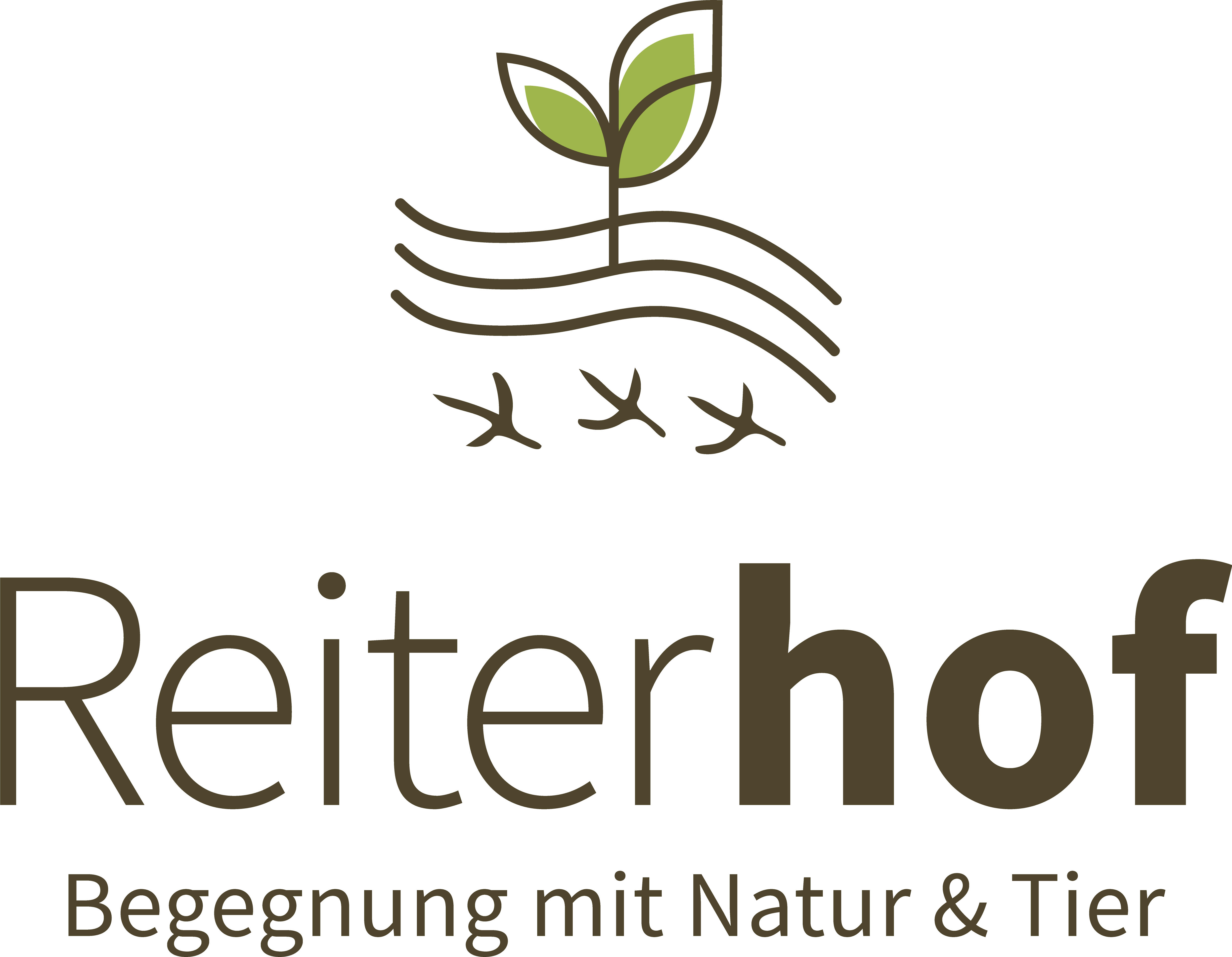 Ferien Bauernhof: Biobauernhof Reiterhof