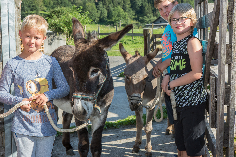 Ferien Bauernhof: Biobauernhof Reiterhof