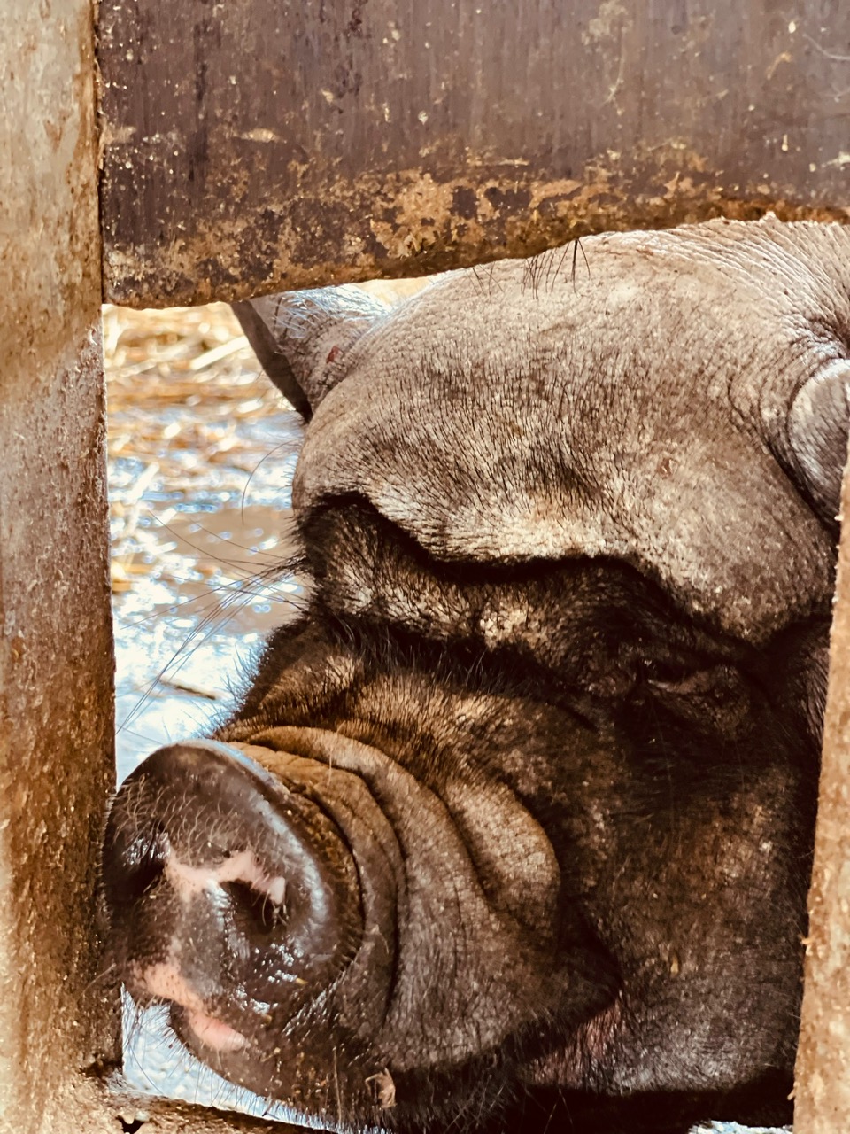 Ferien Bauernhof: Biobauernhof Reiterhof