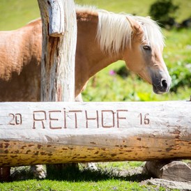 Ferien Bauernhof: Pferde - Apartpension Almhof - Reithof Pitztal
