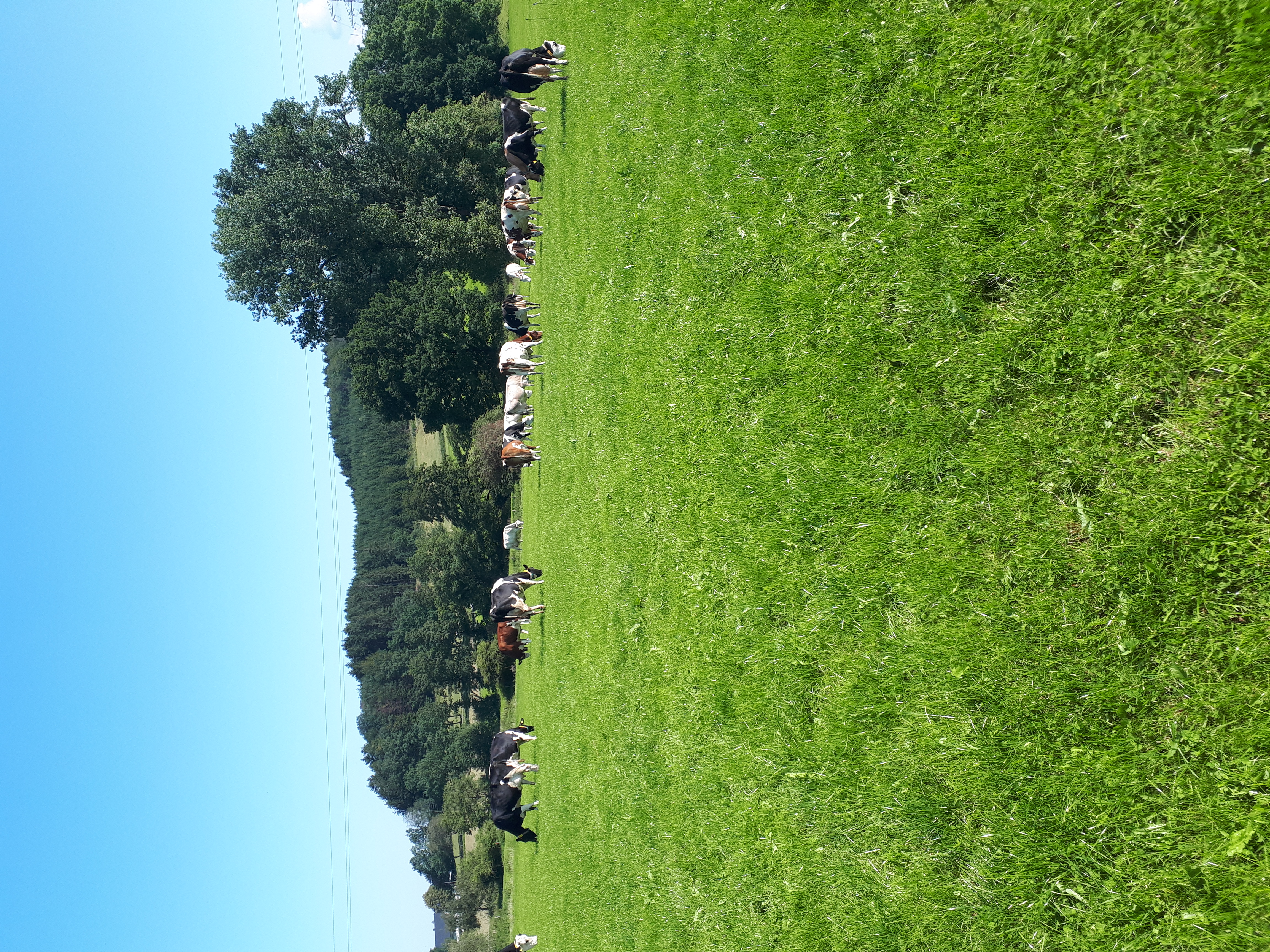 počitnice na kmetiji - Ruhelage - Hof Keppel