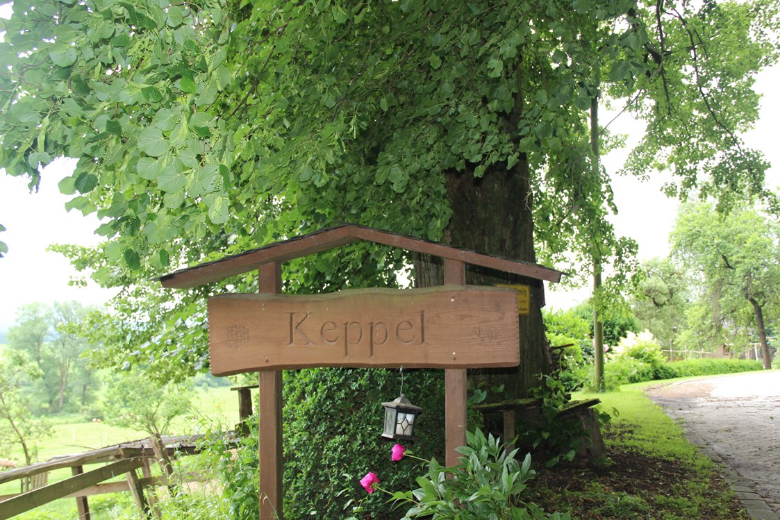 Ferien Bauernhof: Hof Keppel