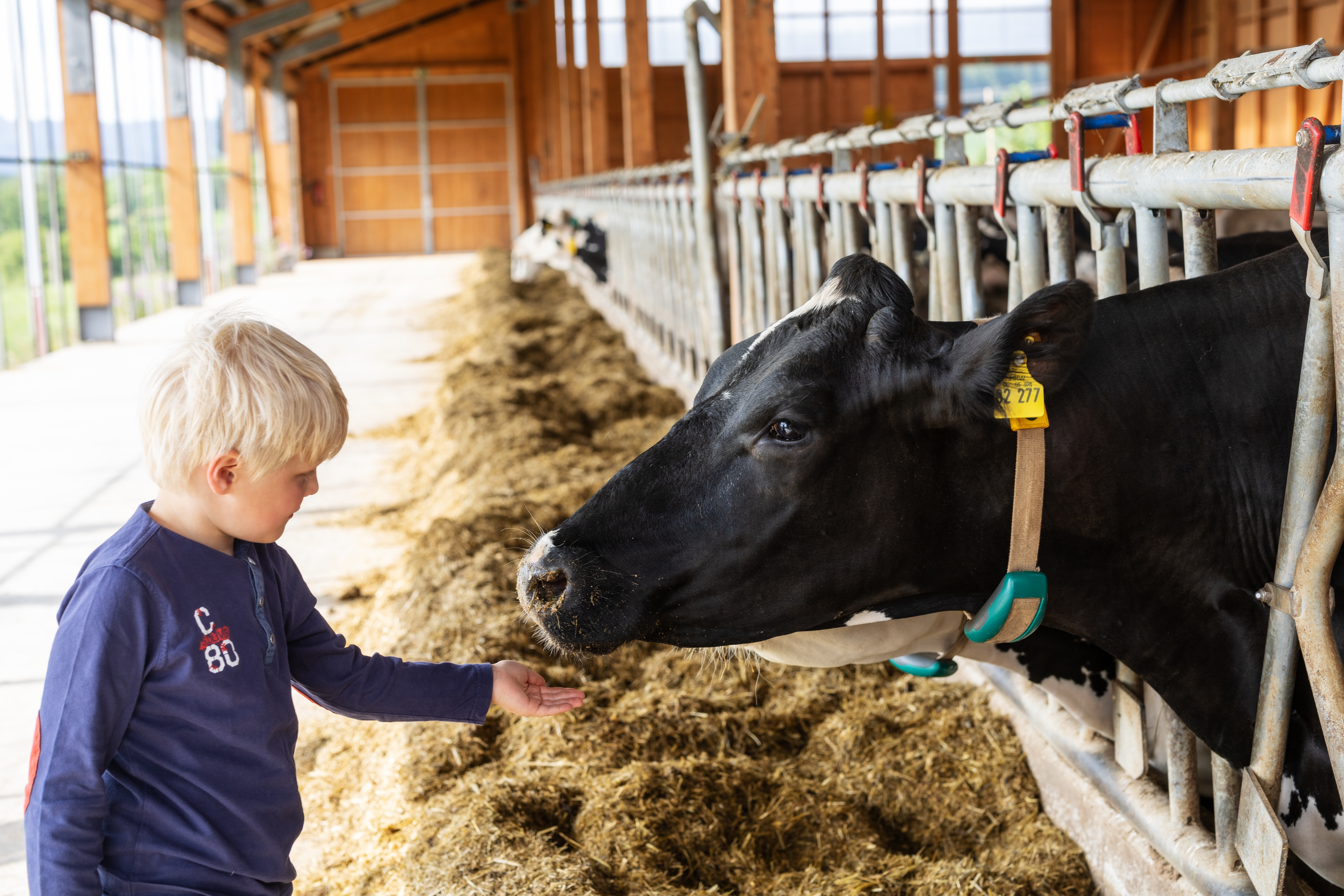Ferien Bauernhof: Hof Keppel