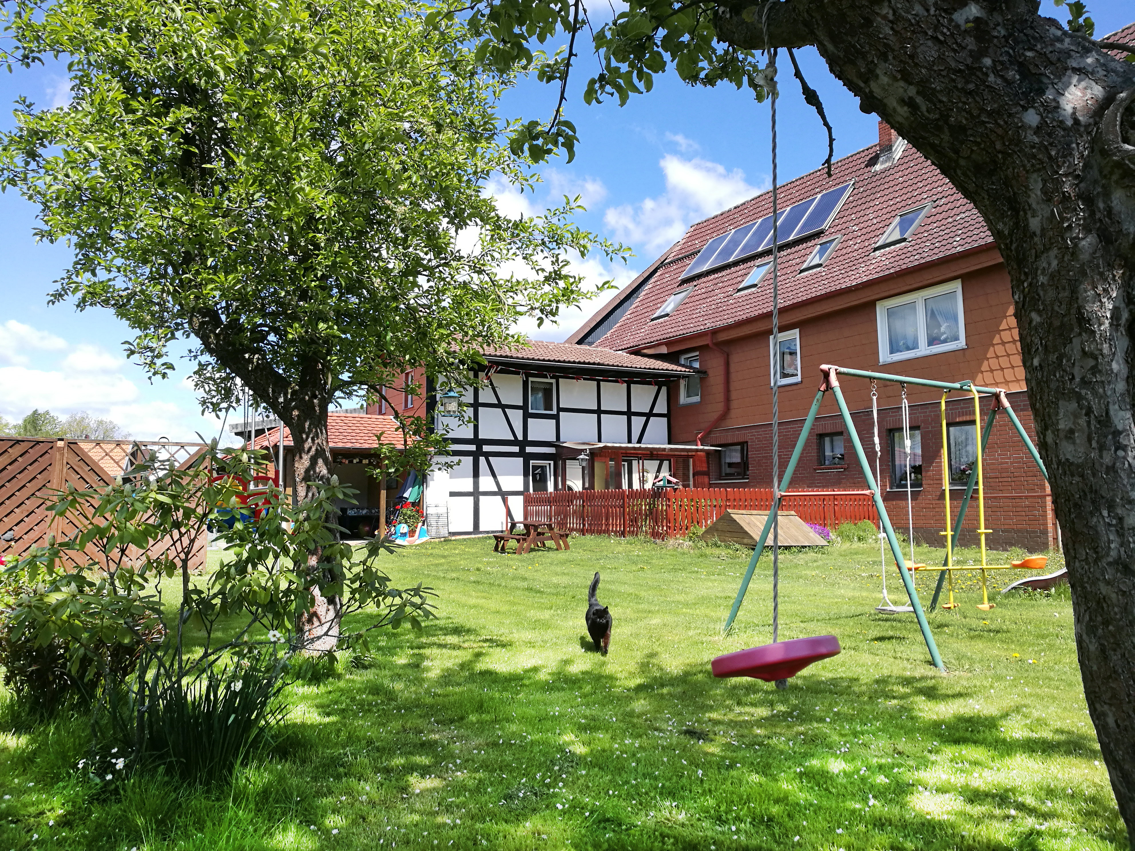 Urlaub auf dem Bauernhof - Eislaufen - Harz - Ferienhof Ritter - Harz