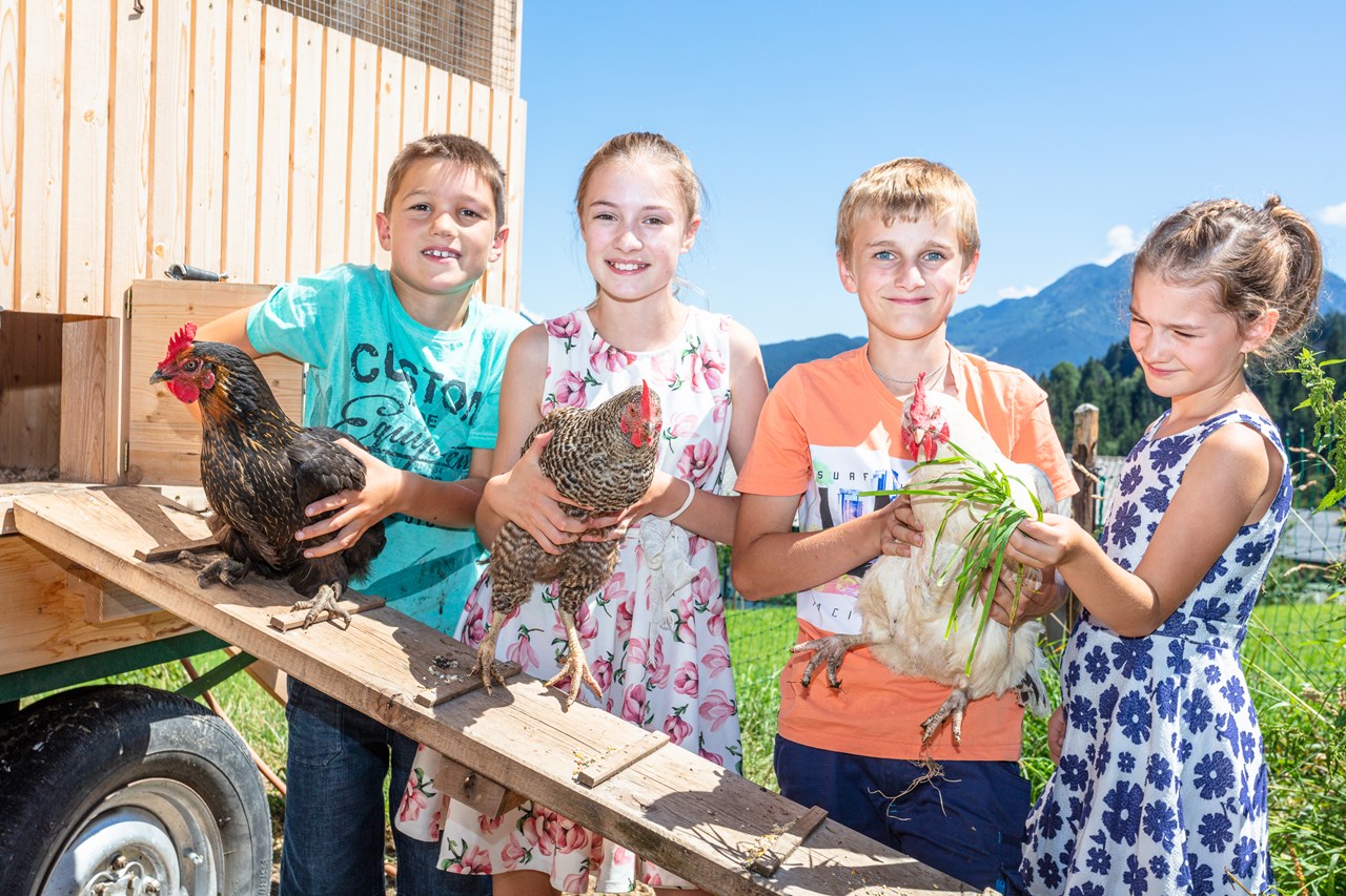 Biobauernhof Mittermoos Naše živali piščanec