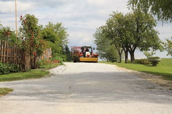 Ferien Bauernhof: Das tägliche Grünfutter wird geholt - Bauernhof Hönigshof - Familie Kerschenbauer