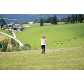 Ferien Bauernhof: Viel Freiraum - Bauernhof Hönigshof - Familie Kerschenbauer