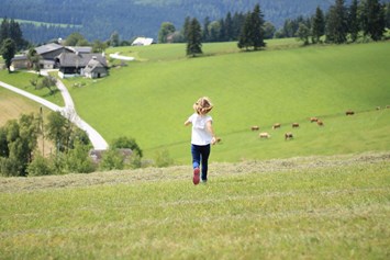 Ferien Bauernhof: Viel Freiraum - Bauernhof Hönigshof - Familie Kerschenbauer