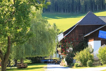 Ferien Bauernhof: Hofbereich - Bauernhof Hönigshof - Familie Kerschenbauer