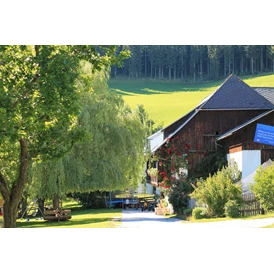 Ferien Bauernhof: Hofbereich - Bauernhof Hönigshof - Familie Kerschenbauer