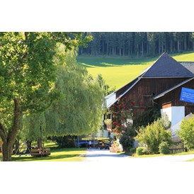 Ferien Bauernhof: Hofbereich - Bauernhof Hönigshof - Familie Kerschenbauer