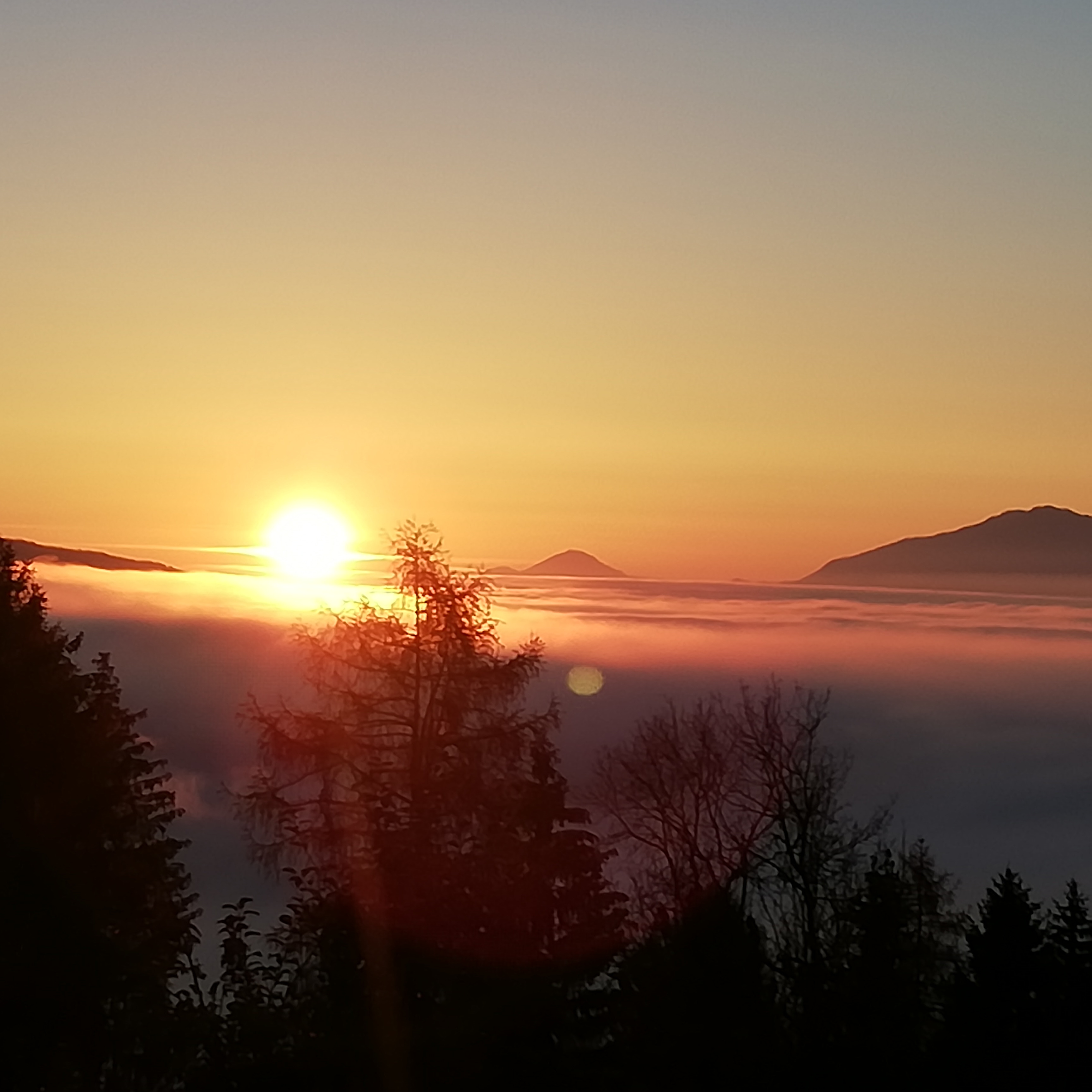 Ferien Bauernhof: ERLEBNISBAUERNHOF Steinerhof in Kärnten