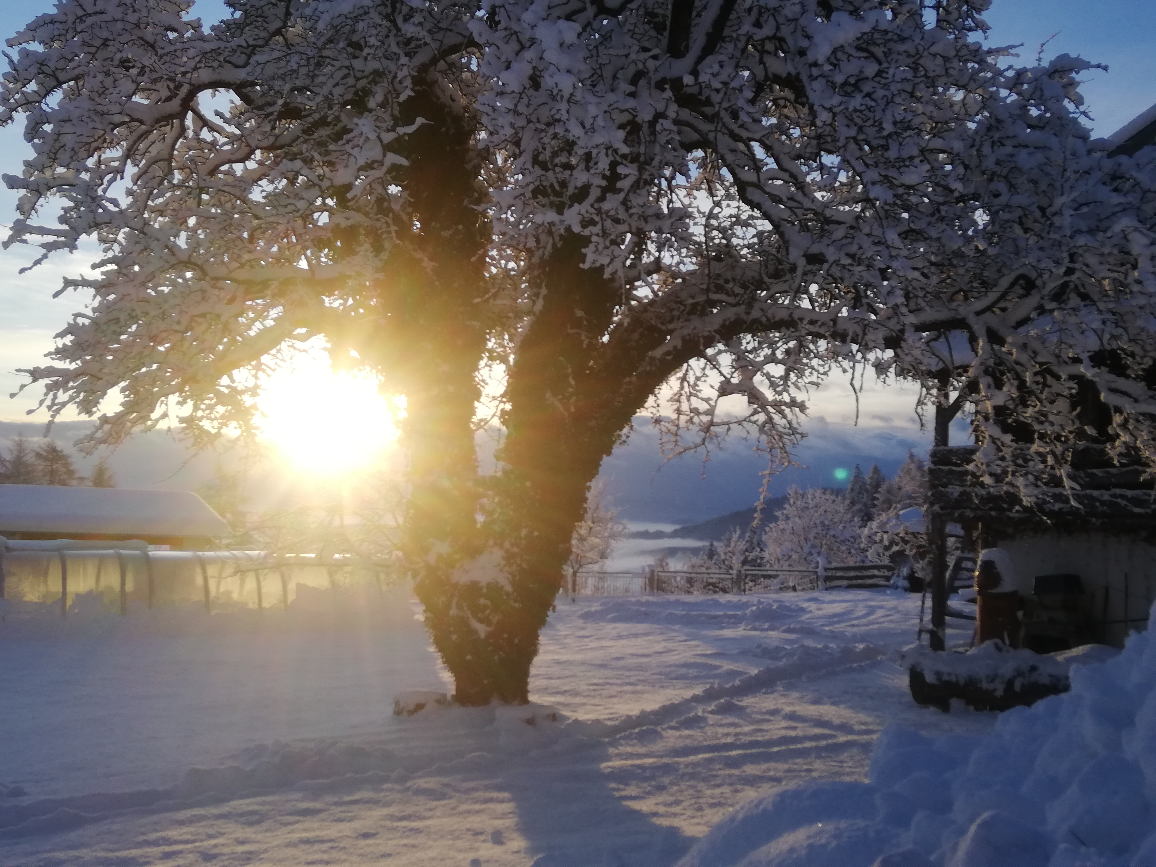Ferien Bauernhof: ERLEBNISBAUERNHOF Steinerhof in Kärnten