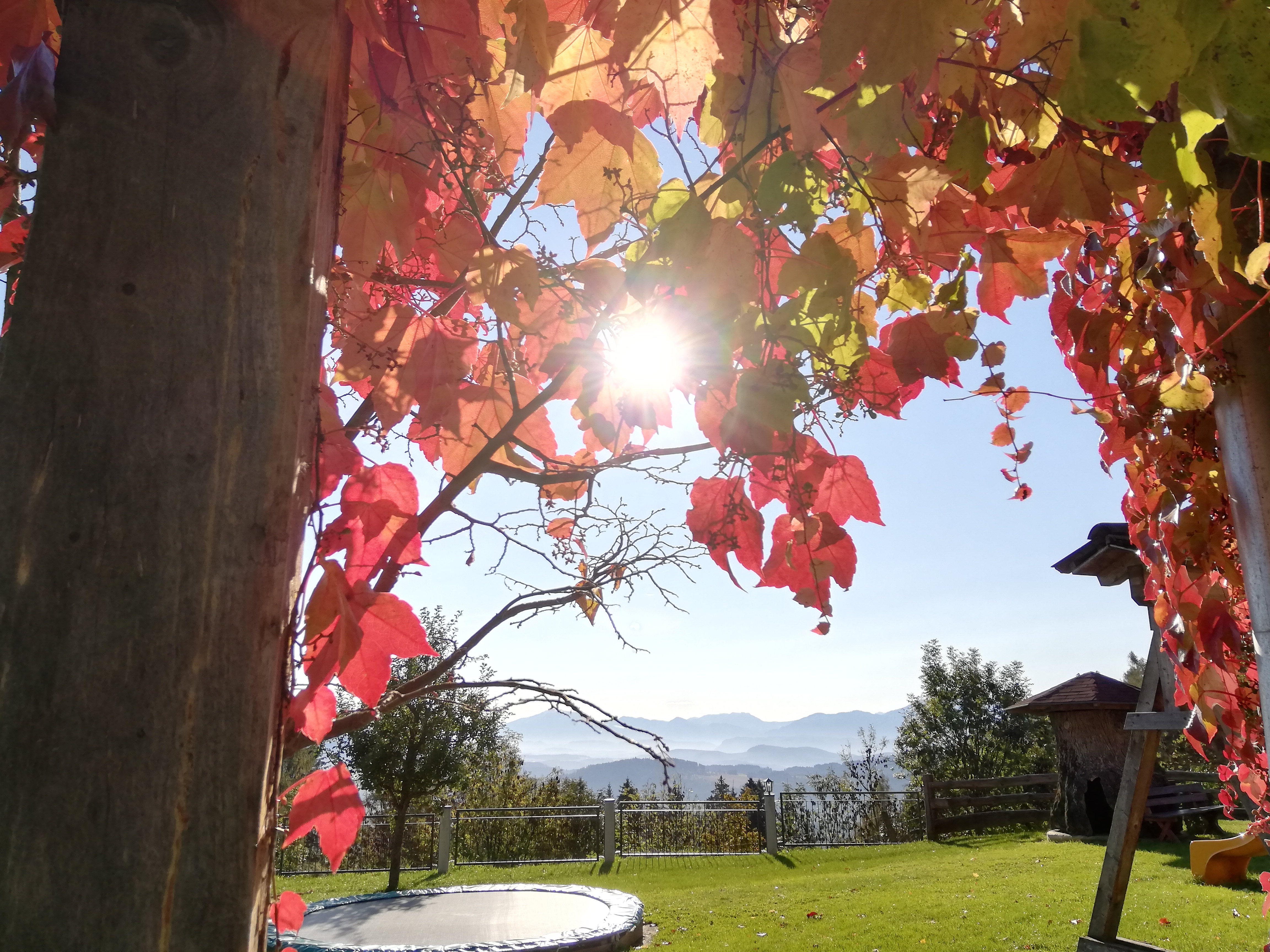 Ferien Bauernhof: ERLEBNISBAUERNHOF Steinerhof in Kärnten