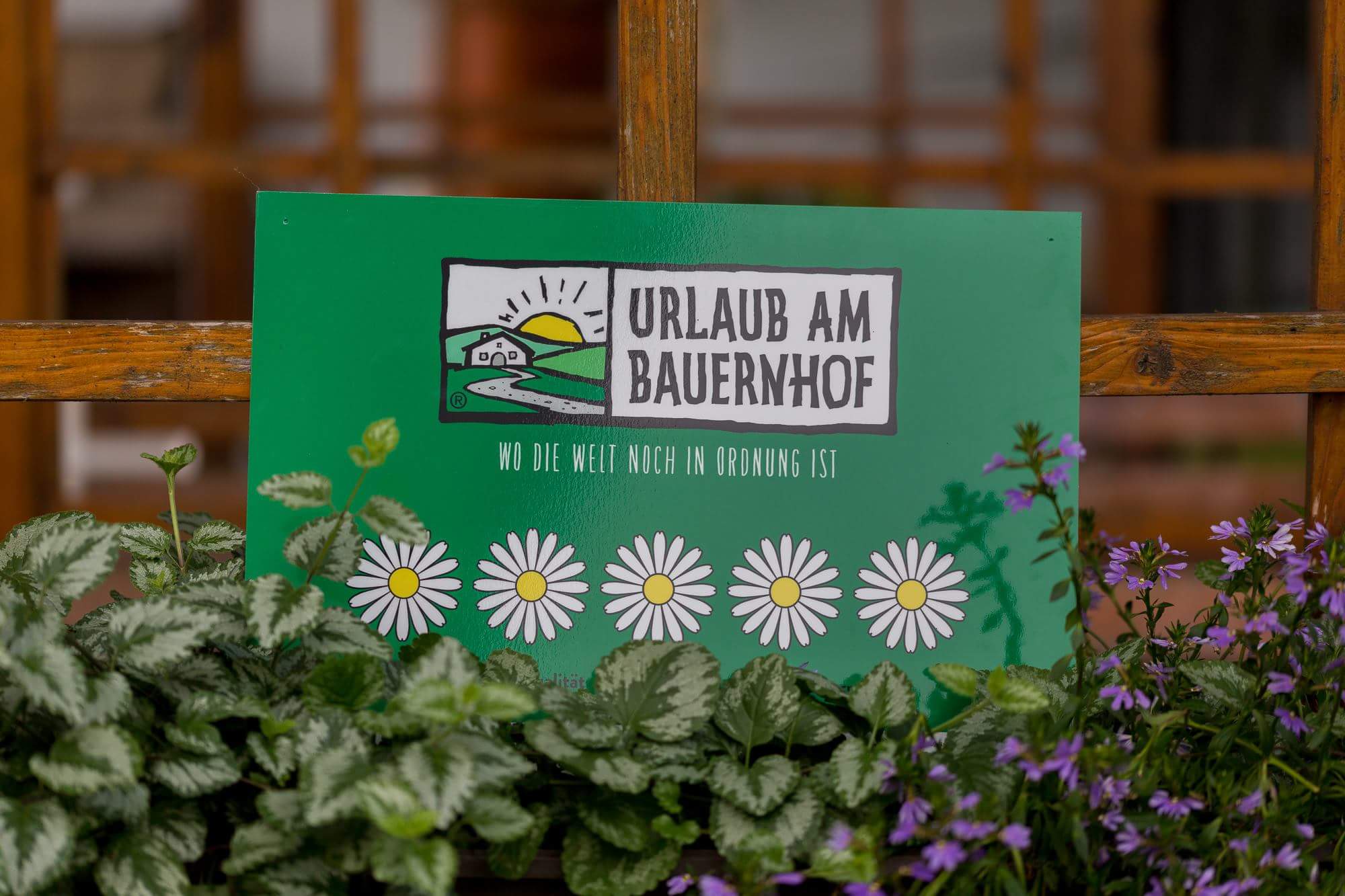 Ferien Bauernhof: ERLEBNISBAUERNHOF Steinerhof in Kärnten