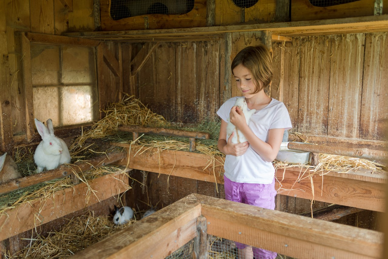 Bergbauernhof Irxner - Urlaub am Bauernhof mit Hund unsere Tiere Hasen