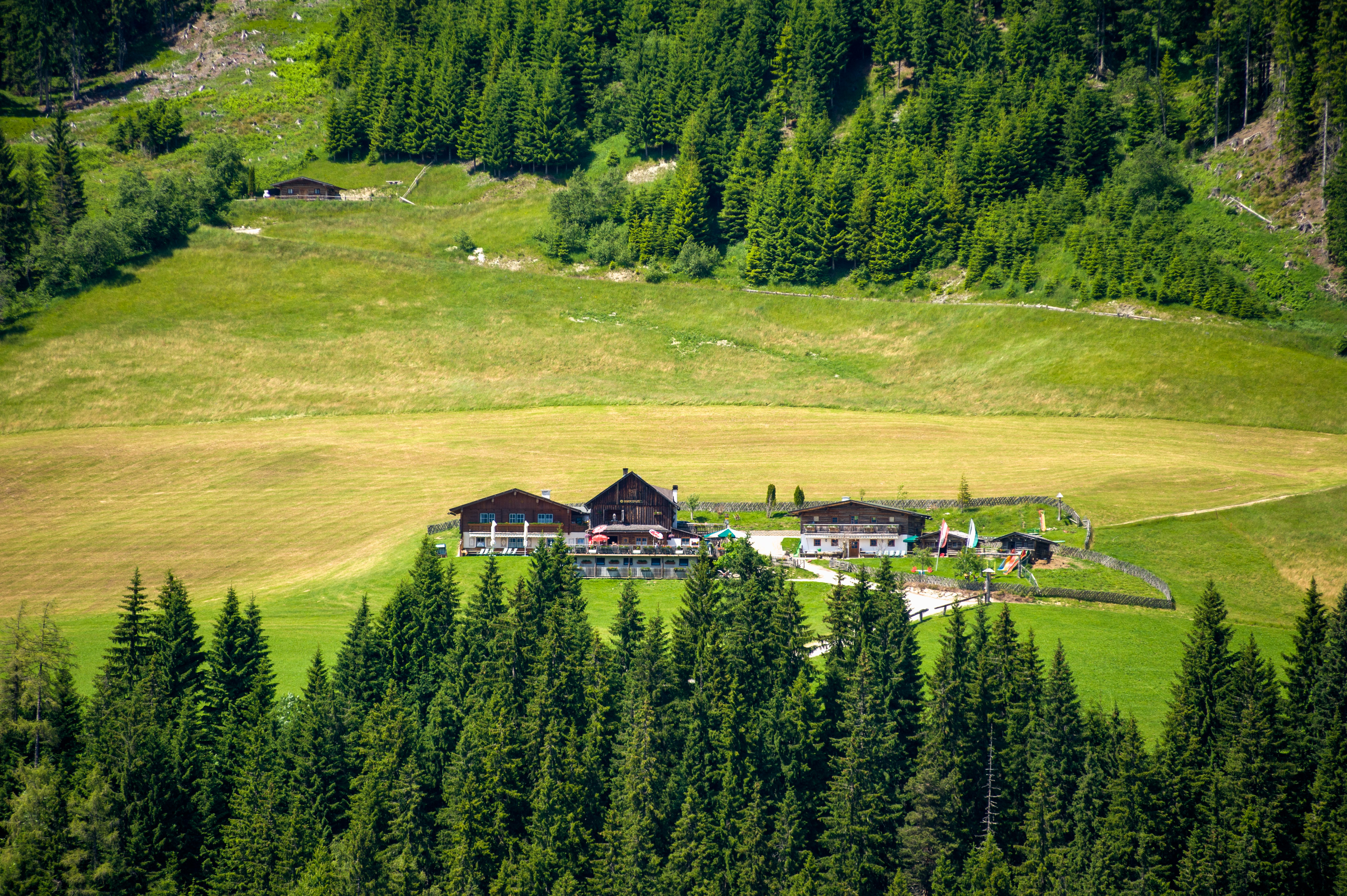 Ferien Bauernhof: Die Sonnenalm - Das nächste Ausflugsziel oberhalb unseres Bergbauernhofes - Bergbauernhof Irxner - Urlaub am Bauernhof mit Hund
