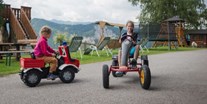 Urlaub auf dem Bauernhof - Ramsau am Dachstein - Austoben am Kinderspielplatz - Bergbauernhof Irxner - Urlaub am Bauernhof mit Hund
