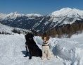 Ferien Bauernhof: Traumurlaub mit Hunden - Bergbauernhof Irxner - Urlaub am Bauernhof mit Hund
