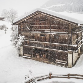 Ferien Bauernhof: Winter Untermairhof Futterhaus - Untermairhof