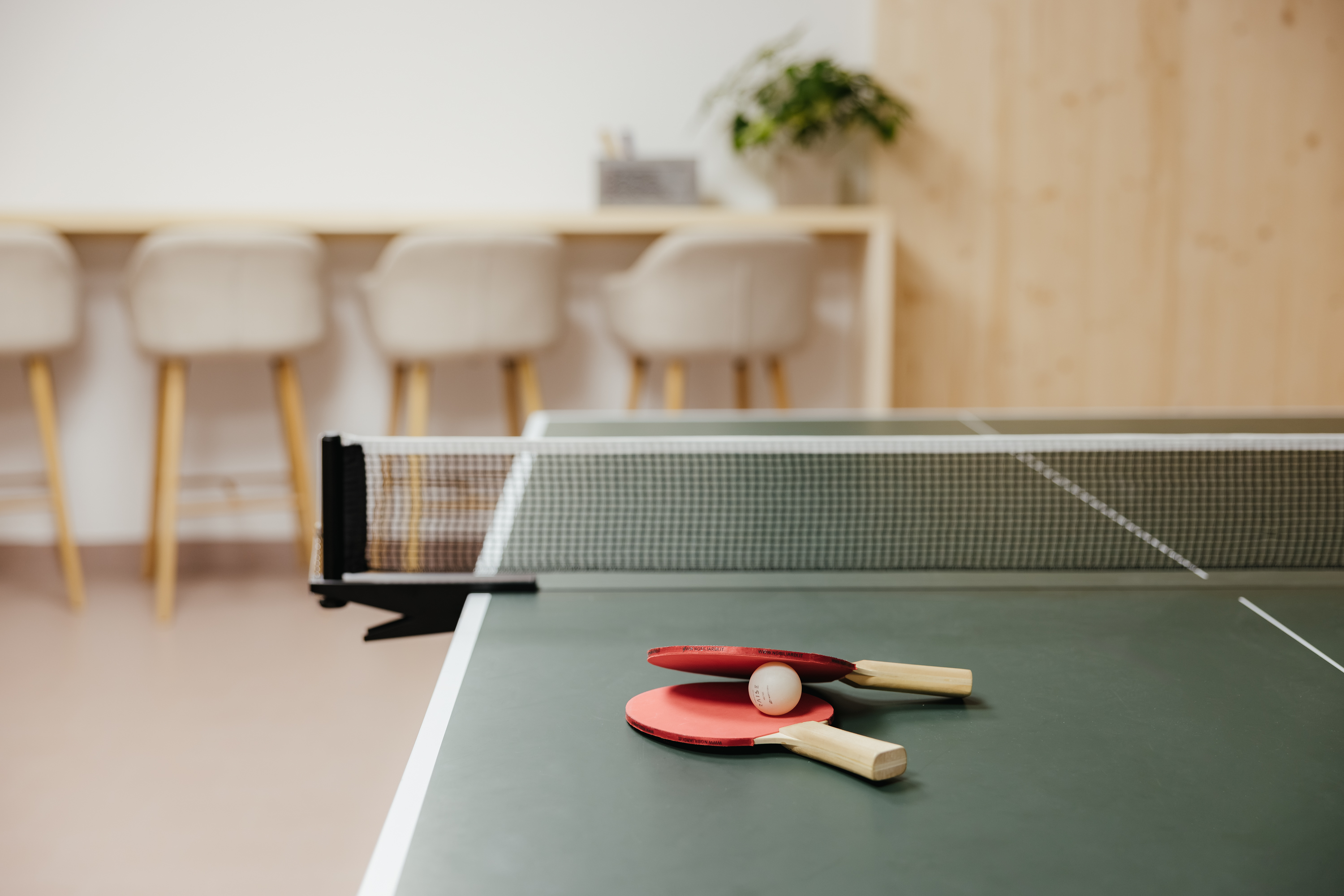 Ferien Bauernhof: Jugendraum - Untermairhof