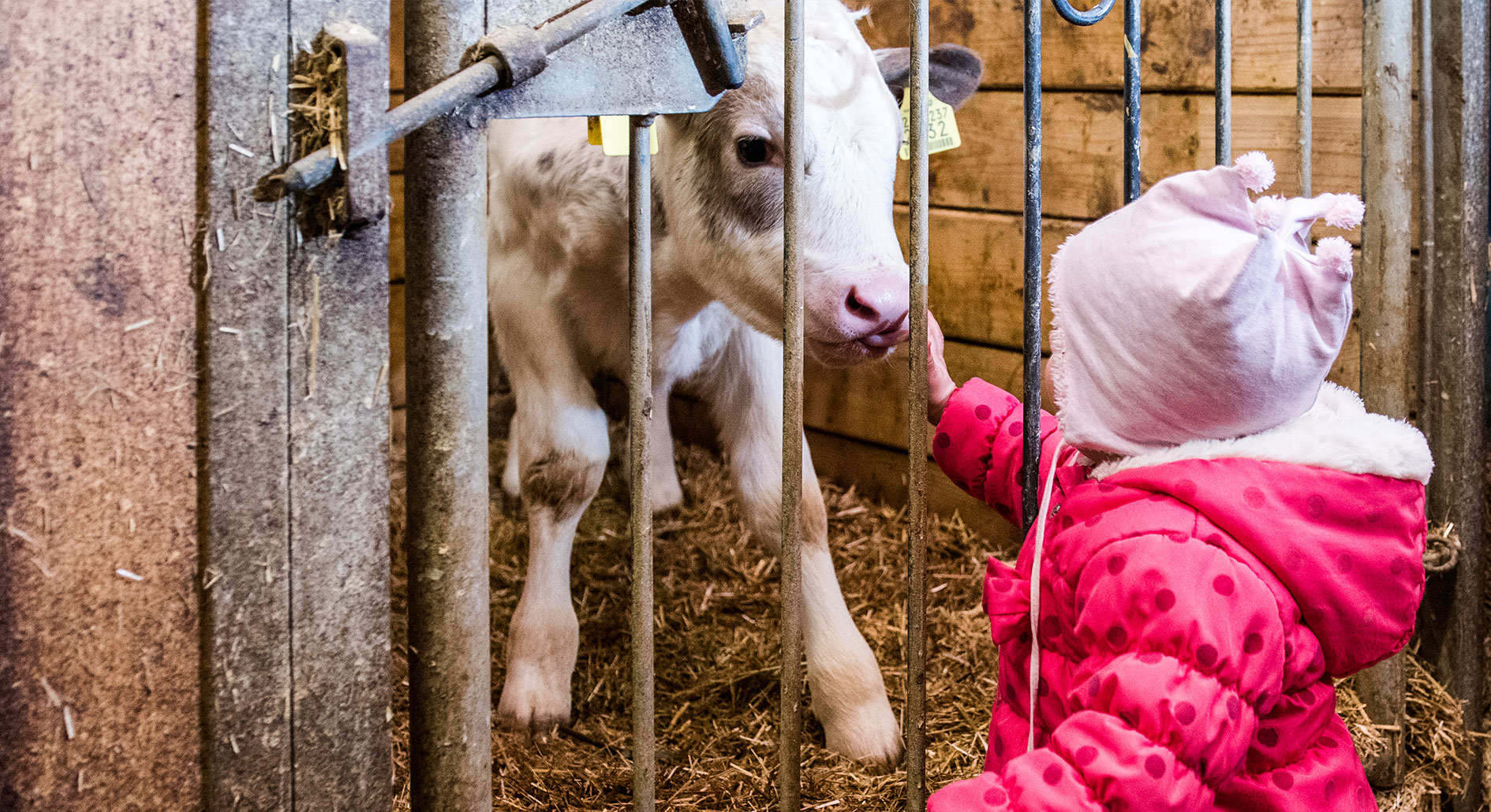 Ferien Bauernhof: Hatzeshof