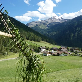 Ferien Bauernhof: Die Wiesen rund um unseren Hof werden zwei mal gemäht. - Oberhof