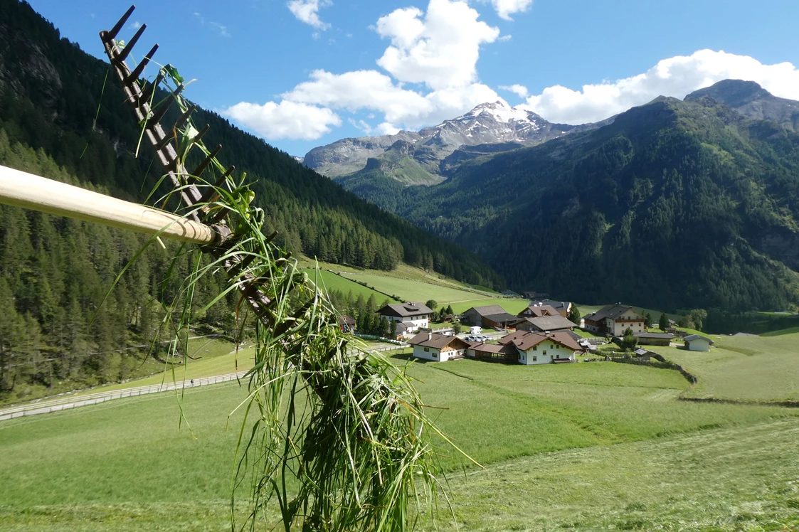 Ferien Bauernhof: Die Wiesen rund um unseren Hof werden zwei mal gemäht. - Oberhof