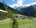 Ferien Bauernhof: Die Wiesen rund um unseren Hof werden zwei mal gemäht. - Oberhof