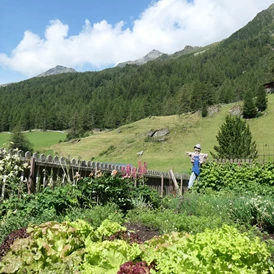 Ferien Bauernhof: In unserem Bauerngarten wachsen Kräuter, Gemüse und Beeren - Oberhof