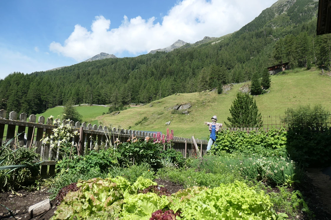 Ferien Bauernhof: In unserem Bauerngarten wachsen Kräuter, Gemüse und Beeren - Oberhof