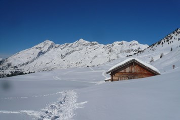 Ferien Bauernhof: Grenzenlose Wintererlebnisse - Oberhof