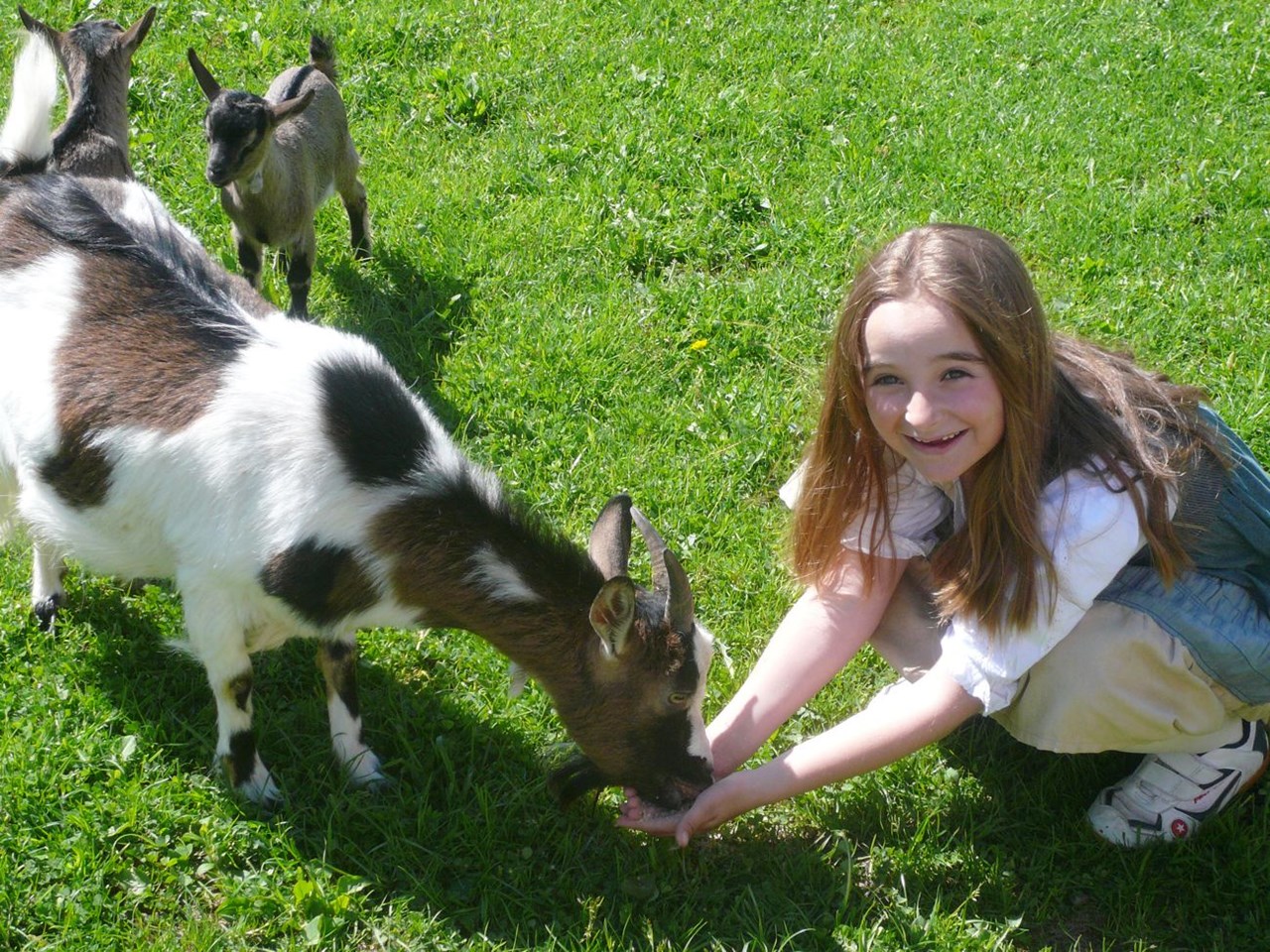 Oberhof Onze dieren Dieren voor kinderen