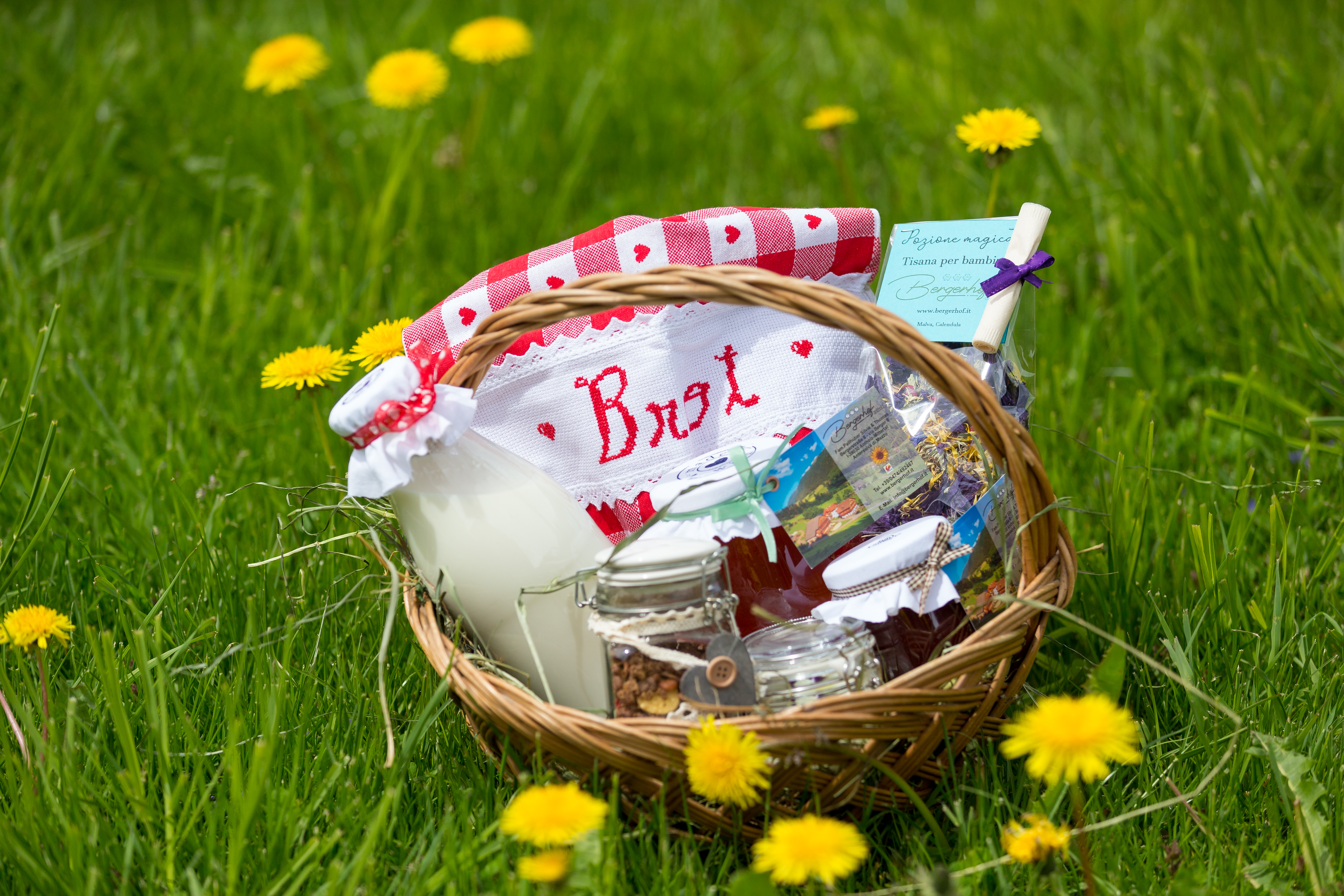 Ferien Bauernhof: Bergerhof