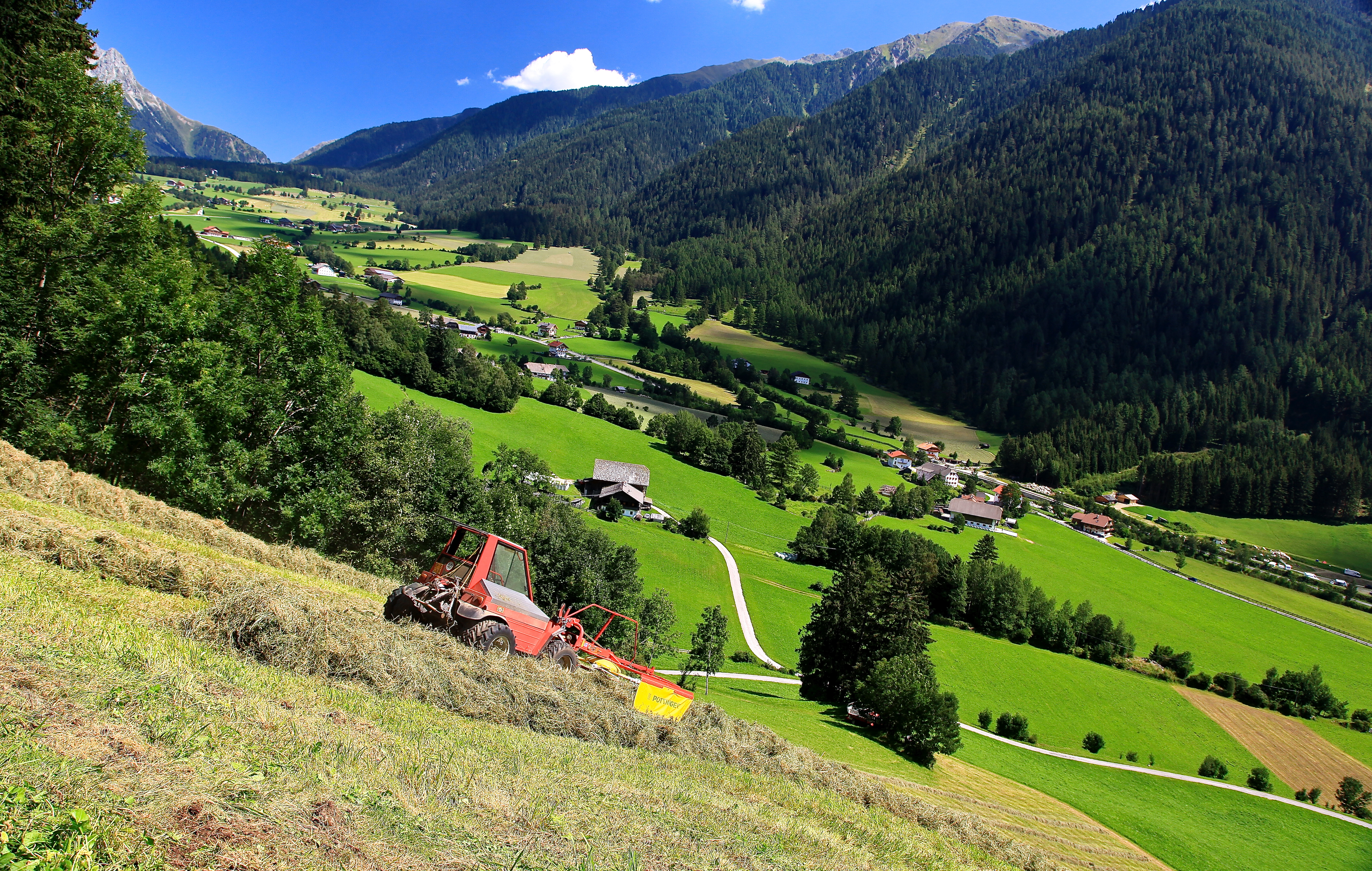 Ferien Bauernhof: Bergerhof - Gospodarsko dvorište
