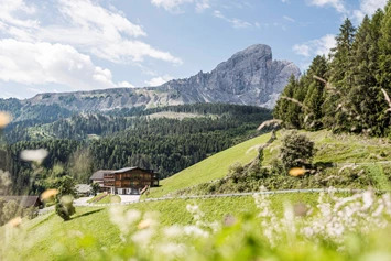 Ferien Bauernhof: Fornellahof-La Majun