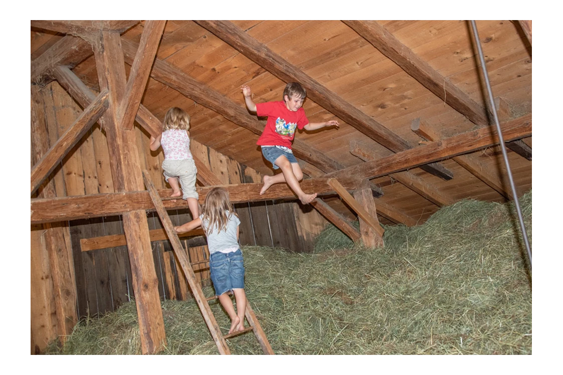 Ferien Bauernhof: Heu hüpfen - Wieserhof