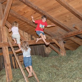 Ferien Bauernhof: Heu hüpfen - Wieserhof