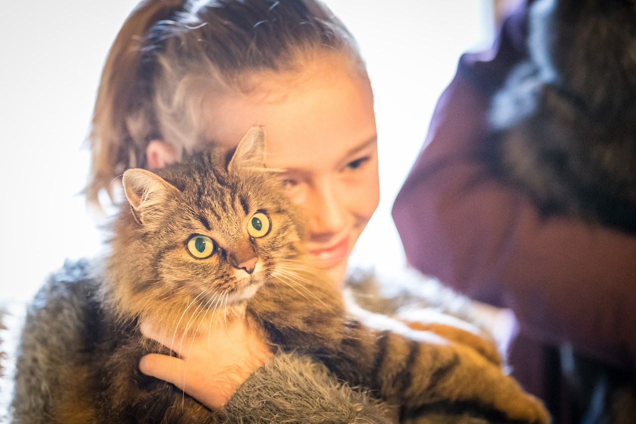 Reidenhof Nos animaux Chat