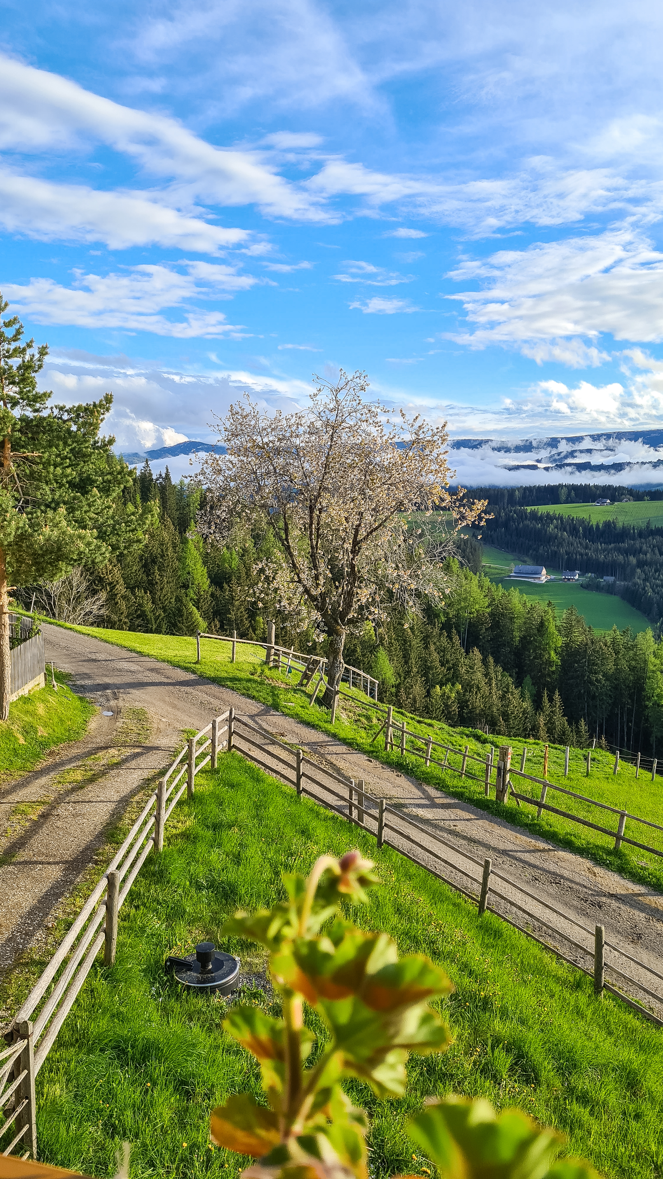 Ferien Bauernhof: Aussicht  - Bergbauernhof Rami 