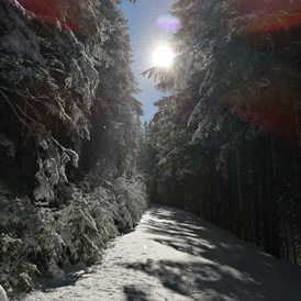 Ferien Bauernhof: Winter ist auch ideal zum Wandern  - Bergbauernhof Rami 