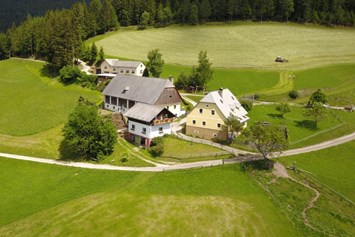 Ferien Bauernhof: Rund um Wanderwege bis zum Größingberg und Amering  - Bergbauernhof Rami 