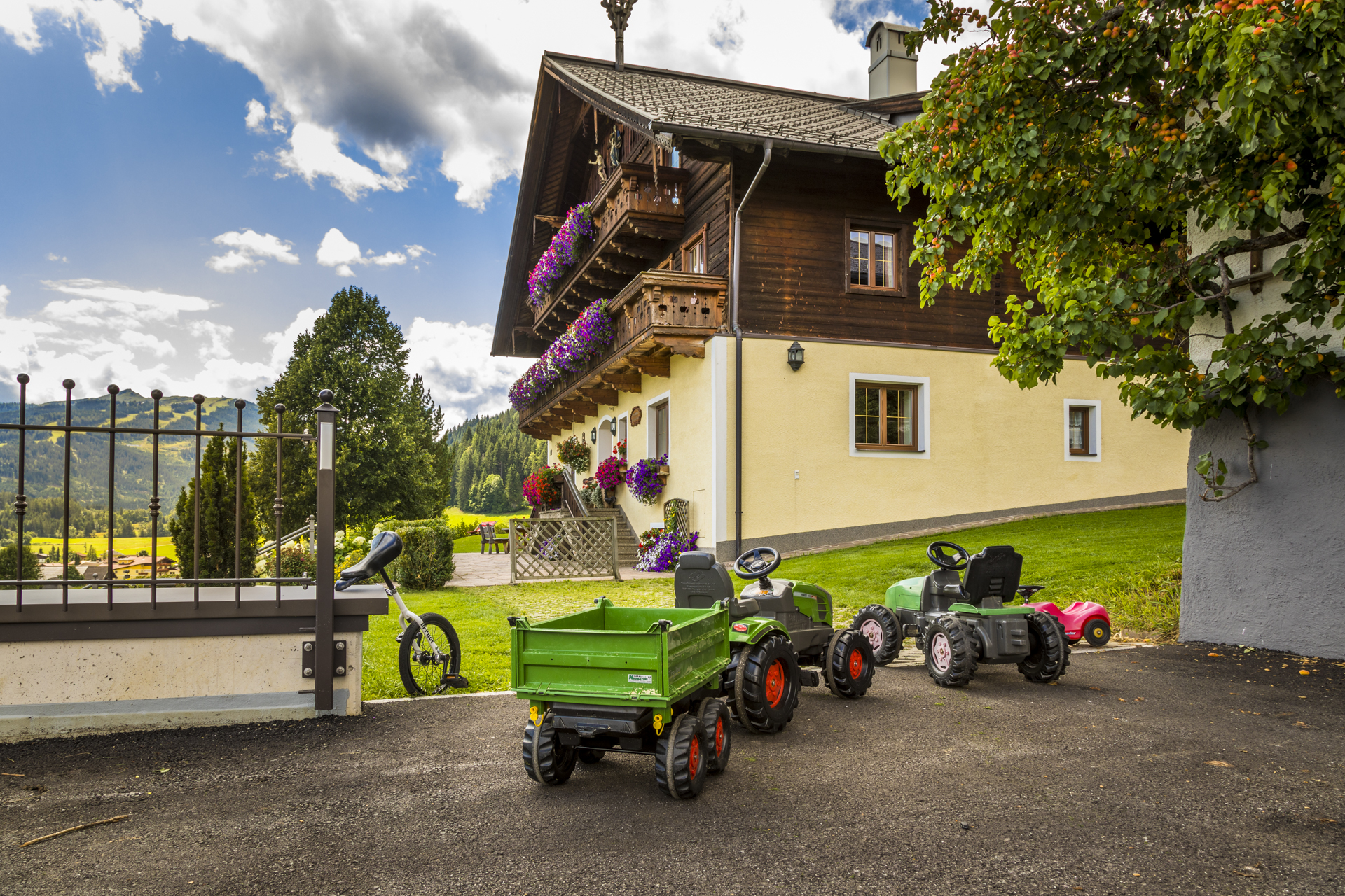 vacances à la ferme - Streichelzoo - Trettraktoren sorgen für Abwechslung - Prechtlhof in Flachau