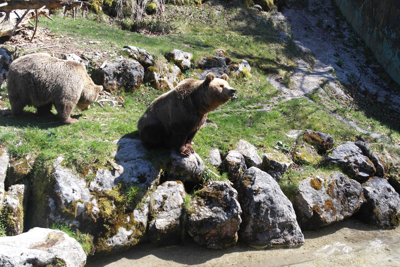Roithhof Destinations Cumberland Wildlife Park