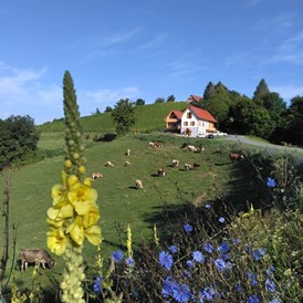 Ferien Bauernhof: Gschmeidler Greith