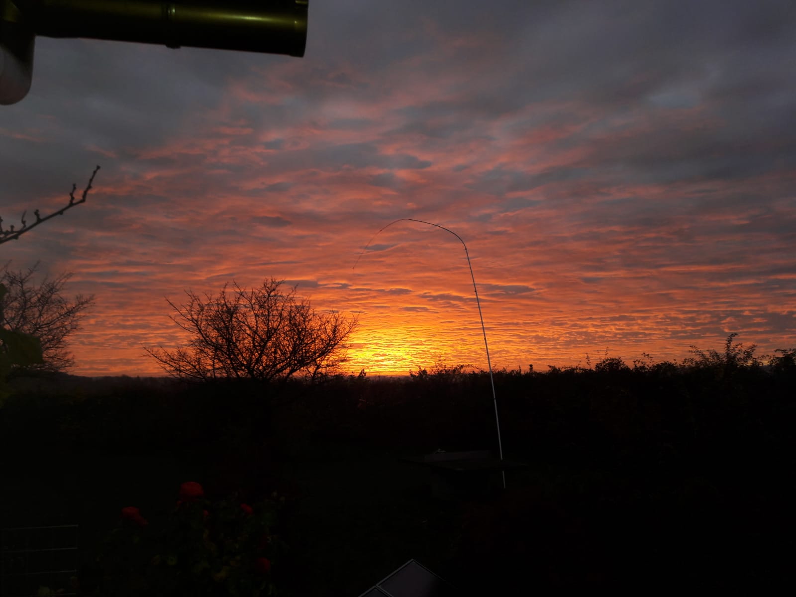 vacation on the farm - Frühstück - Atemberaubende Sonnenuntergänge - Eichhälderhof
