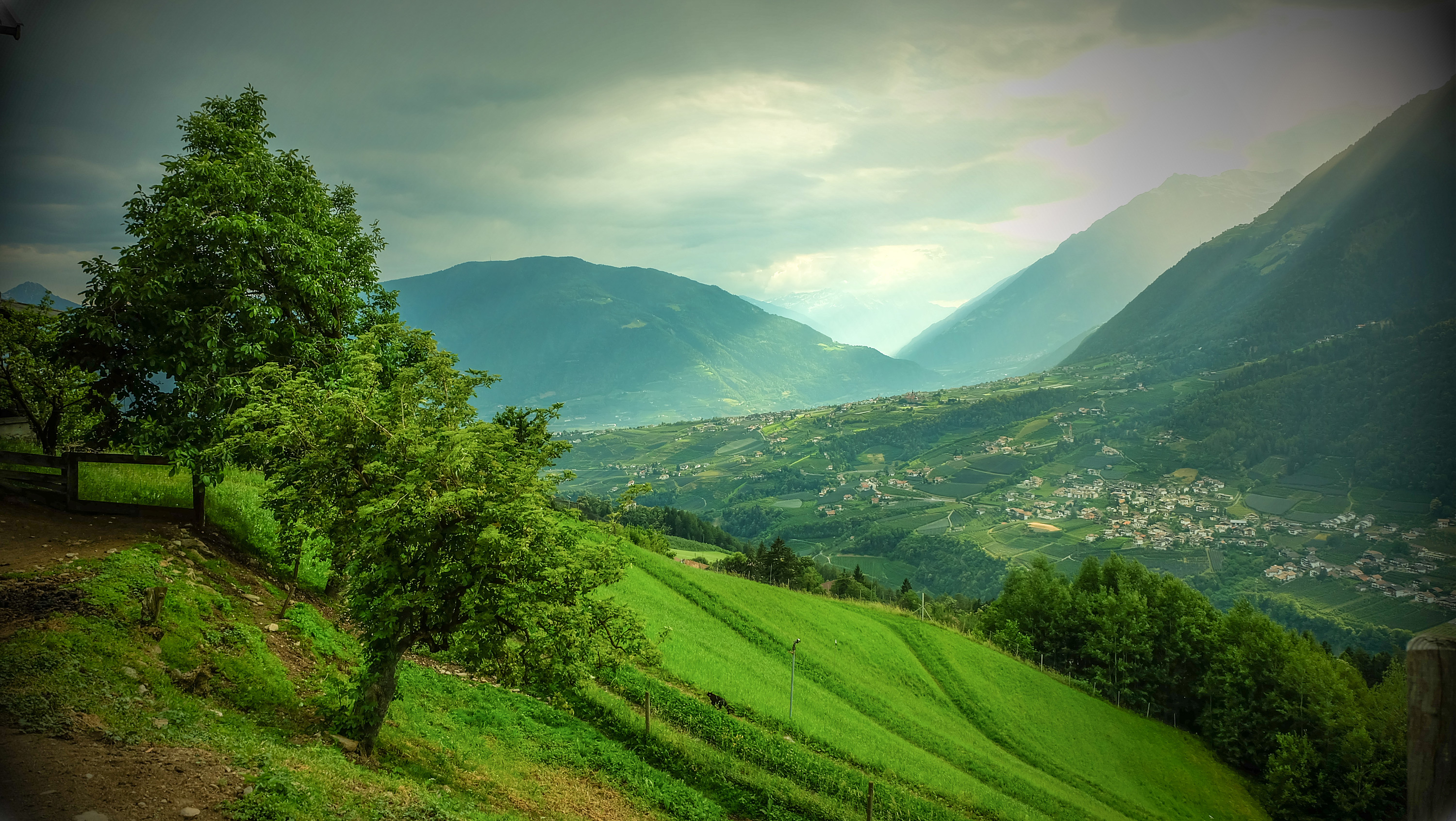 vacation on the farm - Frühstück - Lechnerhof 