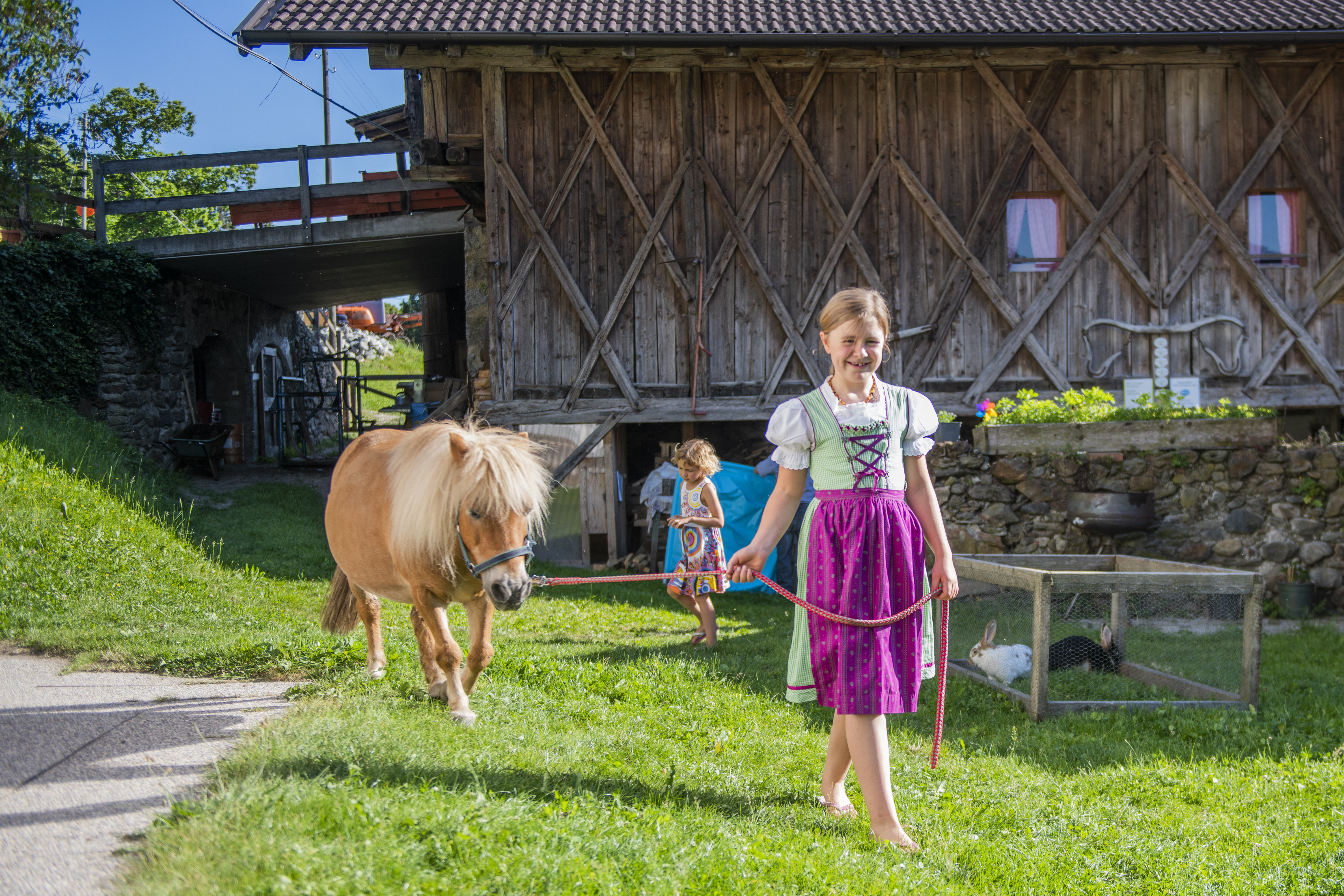 Ferien Bauernhof: Lechnerhof 