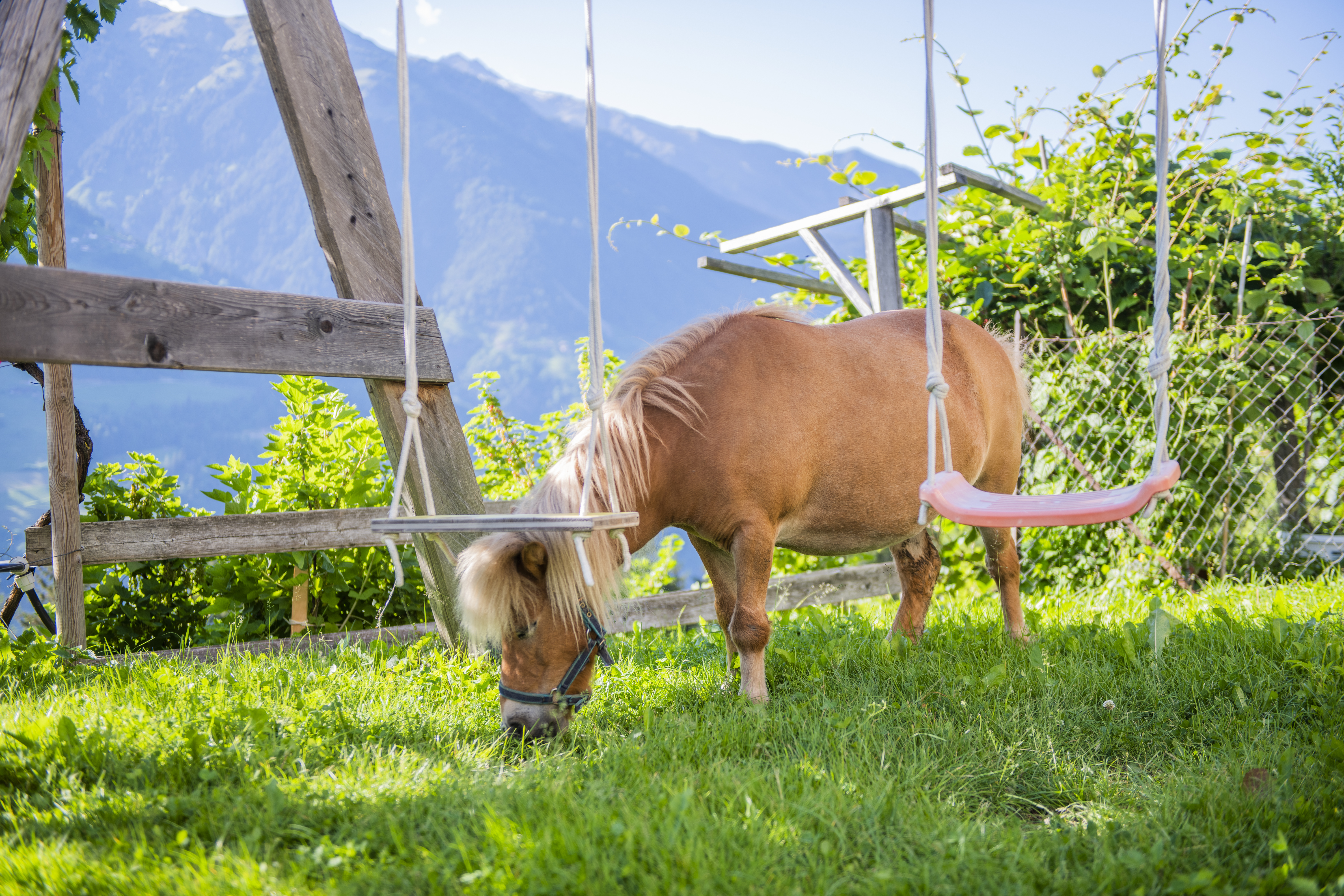Ferien Bauernhof: Lechnerhof 